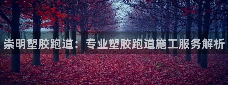红足1一世：崇明塑胶跑道：专业塑胶跑道施工服务解析