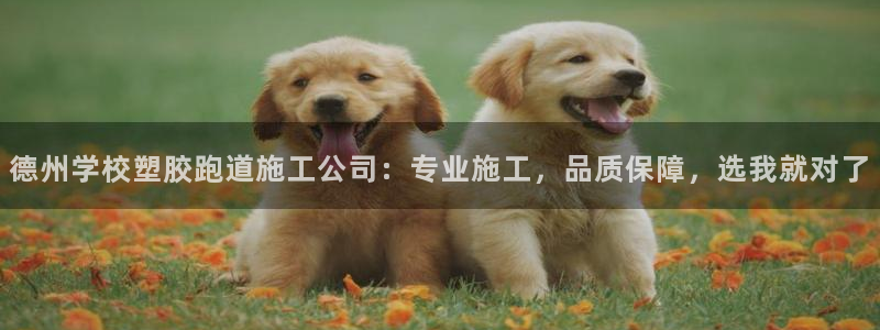 红足1世手足球比分：德州学校塑胶跑道施工公司：专业施工，品质保障，选我就对了
