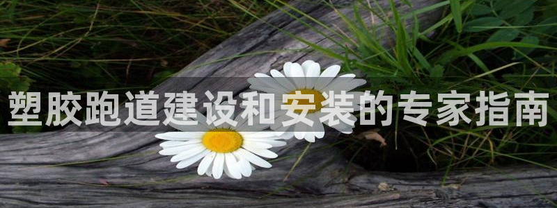 44814红足：塑胶跑道建设和安装的专家指南