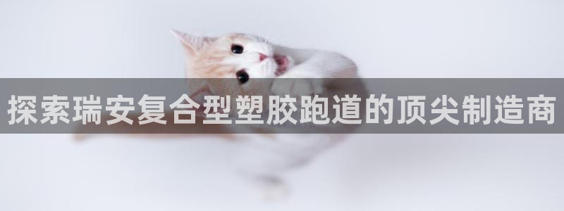 红足一1世手机版赛果：探索瑞安复合型塑胶跑道的顶尖制造商