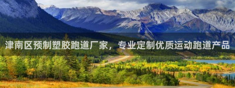 红足一1世即时比分：津南区预制塑胶跑道厂家，专业定制优质运动跑道产品