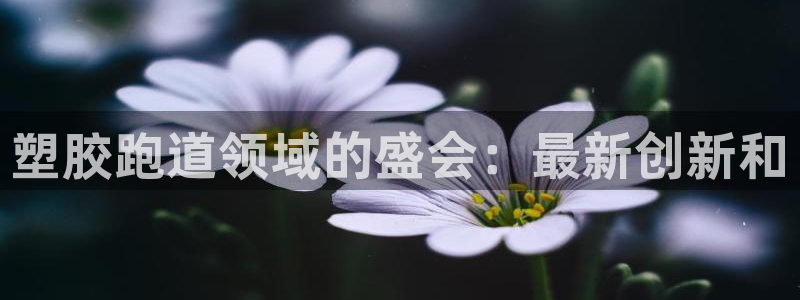 333814红足1世：塑胶跑道领域的盛会：最新创新和