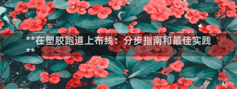 百度红足一1是为什么：**在塑胶跑道上布线：分步指南和最佳实践
**