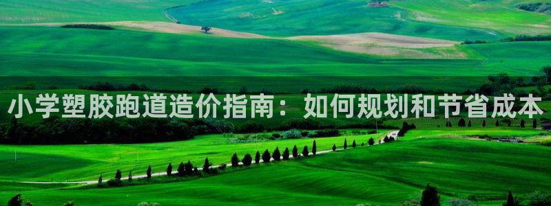 红足一球：小学塑胶跑道造价指南：如何规划和节省成本