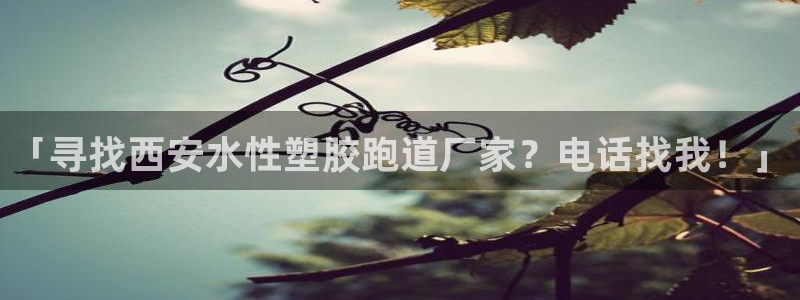 红足1世足球比分预测：「寻找西安水性塑胶跑道厂家？电话找我！」