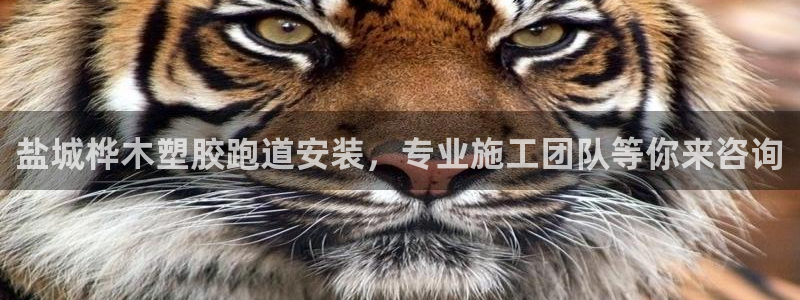 红足1世足球比分预测：盐城桦木塑胶跑道安装，专业施工团队等你来咨询