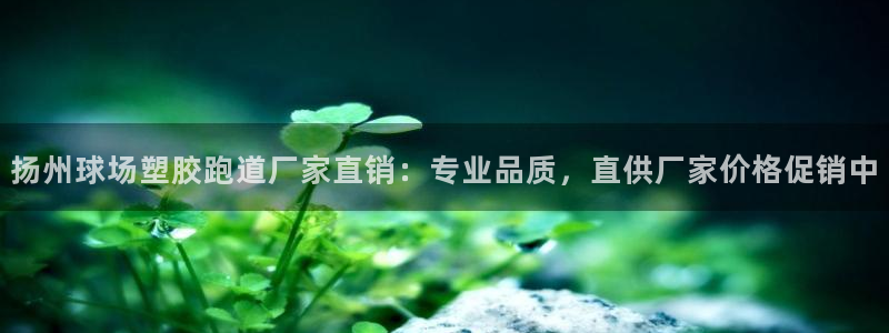 红世一足球比分：扬州球场塑胶跑道厂家直销：专业品质，直供厂家价格促销中