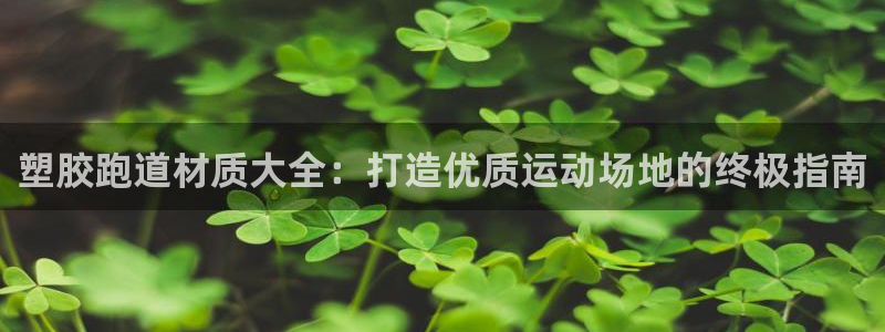 66814红足一66814世：塑胶跑道材质大全：打造优质运动场地的终极指南