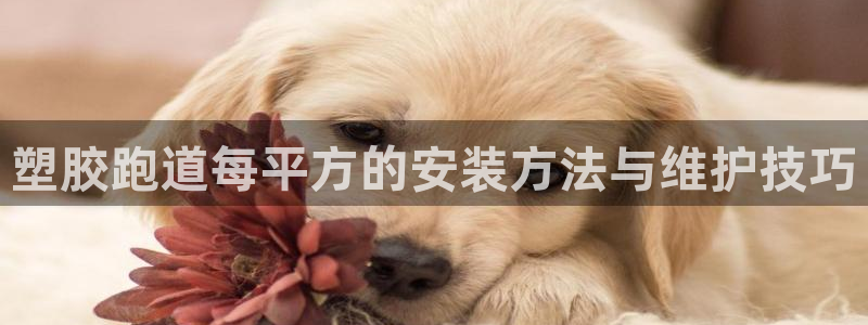 红足体育网：塑胶跑道每平方的安装方法与维护技巧
