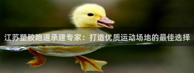 百度红足一1使用说明：江苏塑胶跑道承建专家：打造优质运动场地的最佳选择