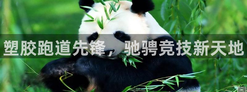 百度红足一1是什么样子的：塑胶跑道先锋，驰骋竞技新天地
