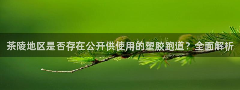 红足1世足球网址大全：茶陵地区是否存在公开供使用的塑胶跑道？全面解析