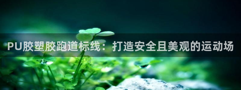 红足一1世666814最新结果：PU胶塑胶跑道标线：打造安全且美观的运动场