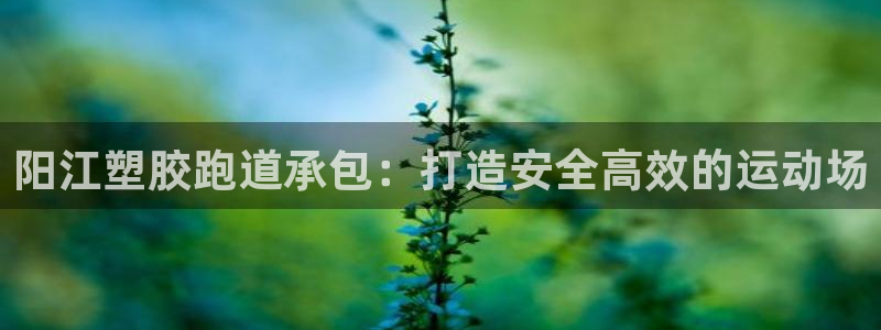 红足l一世开奖现场62ty：阳江塑胶跑道承包：打造安全高效的运动场